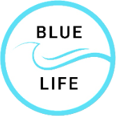 BlueLife Pools BlueLife Pools